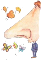 narizota