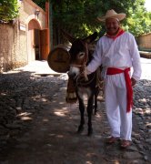 burro pq