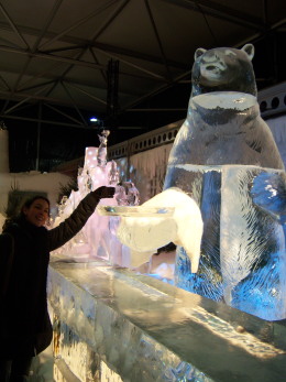 oso polar